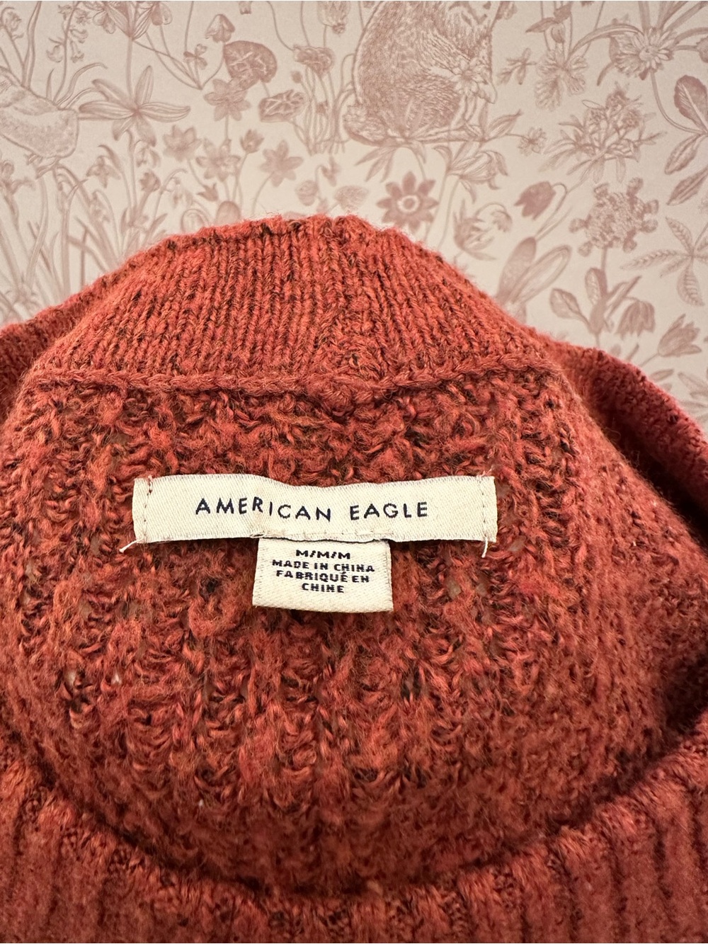 American Eagle Outfitters Cozy Rust Crewneck Sweater - Picture 7 of 7